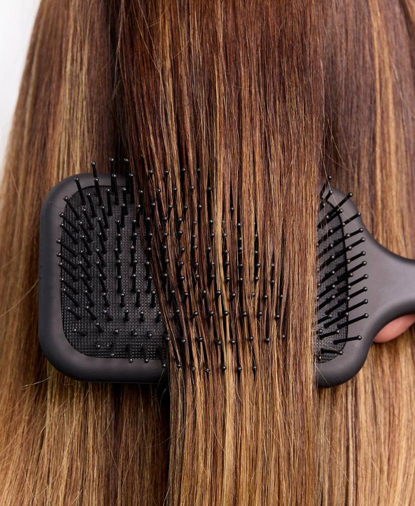 Paddle Brush